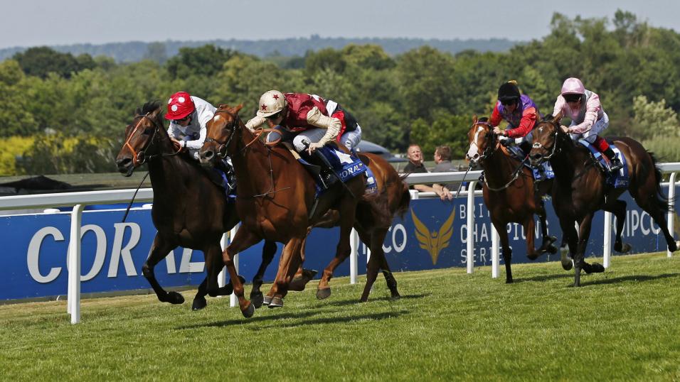 Veracious is a hot favourite for the Atalanta Stakes at Sandown on Saturday